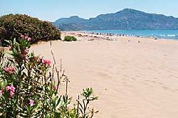 relax on the beach