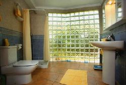 Ground floor bathroom
