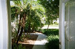 Tropical view from front hallway