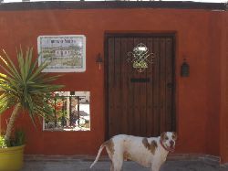 GARDEN ENTRANCE - resident dog Ben