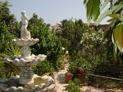 MATURE GARDENS