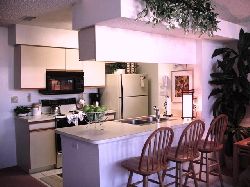 New, Modern Kitchen has EVERYTHING