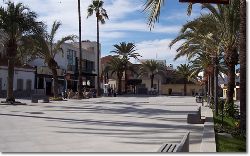  Algorfa Square