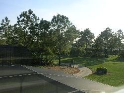 View to Greens