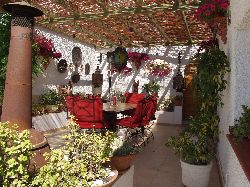 BBQ Terrace