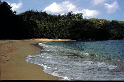 The beach is just down the hill....