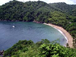 World Famous Englishman's Bay....