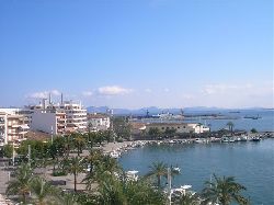 Alcudia marina