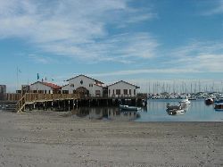 Local Beach