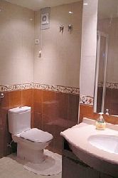 Elegant bathroom with spacious shower