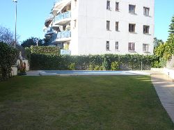 Garden & swimming pool