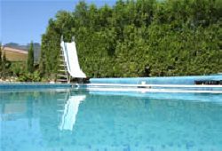 Pool with springboard and slide