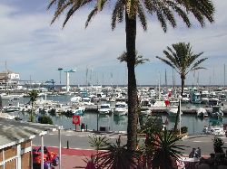 The Marina