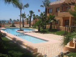 Communal Pool