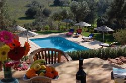 Outdoor dining, overlooking the gardens