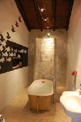 Rustic bathroom