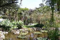 Alcazaba award winning gardens