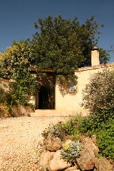 Old Spanish doors and rustic charm