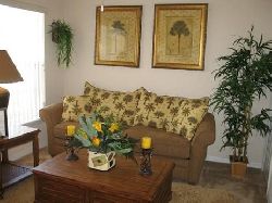 Comfy Living Room