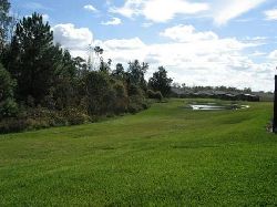 Conservation View