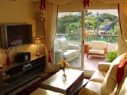 TV and Terrace View