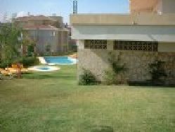 Swimming pool/Garden