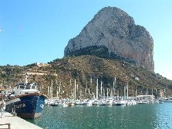 The Marina