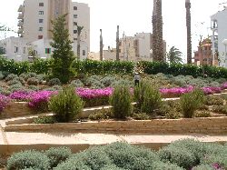 The apartments gardens