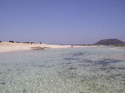 The sand dunes
