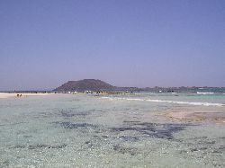 Local beach