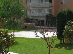 Basket Ball court