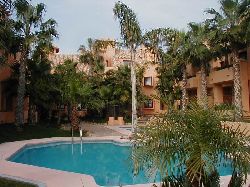 Communal Pool