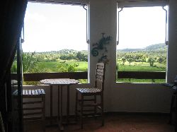 View from Dining Room/Patio