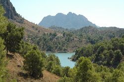 Countryside around Calasparra