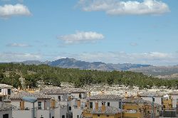 View from Solarium