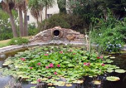 VILLA POND