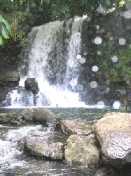 Waterfall on property - close up