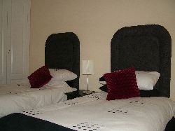 Spacious, modern twin bedroom