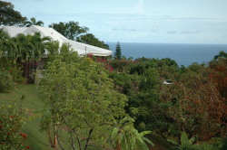 View from behind