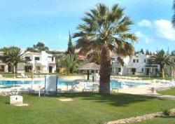 Beautiful large pool,loungers,snack bar