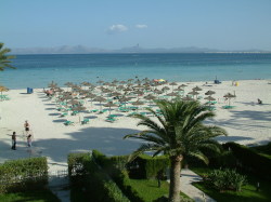 ALCUDIA  BEACH