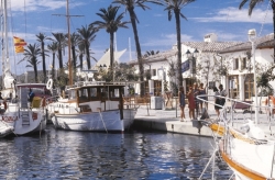 PORT  ALCUDIA   MARINA