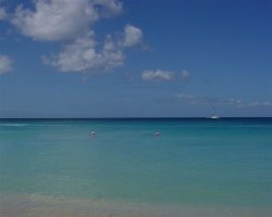 The blue blue sea
