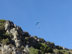 Mountain Sierra Gorda