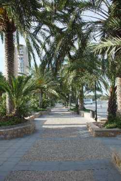 Local Promenade