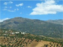 The Local Area