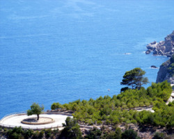 The Viewpoint
