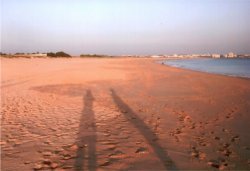 Meia Praia Beach