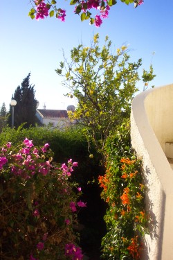 Stairs from balcony into garden