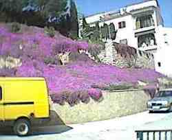 picturesque local villages